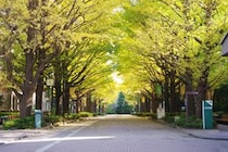 【画像：ランキング14位～1位を見る】