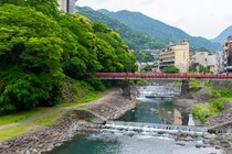 【画像：ランキング24位～1位を見る】