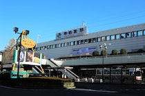 「栃木行くと毎回買ってくる！」　老舗店の“栃木銘菓”に絶賛の声　「隠れた名物」「甘さがしつこくない」「昔からずっと変わらず美味い」