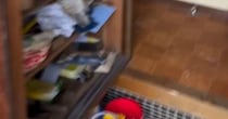 祖父が遺した“築50年の平屋”→「ごめんじいじ、壊します」とリノベを始め……　「天国で感激してますよ」「尊敬しかない!!」と170万再生
