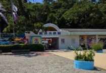 高知の水族館に“さかなクン”から届いた箱→開けてみると……　驚きの中身に「愛が溢れてる」「そりゃ慕われる訳だわ」