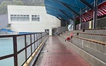 高知県の桂浜水族館→強風により現れたのは……　飛んでくる“まさかの物体”が500万表示「初めて聞く単語」「いっそお土産に」