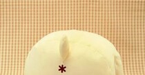 【画像】付録の「ふわもちおしりクッション」