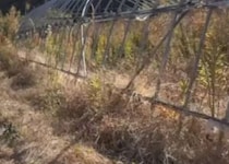 【画像】衝撃の変化