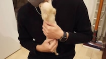 出会った瞬間からベッタリだったパパと犬→3年後……「尋常じゃない」驚きの光景に「嬉ションってカワイイ」「こういうの運命ですよね」