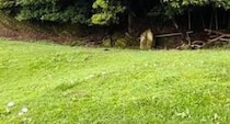 【画像】驚きの正体