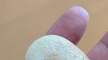 新婚旅行で行った秋田県の海岸→拾った石を見ると……　“まさかの姿”に「間違って食べそう」「本物より本物っぽい」