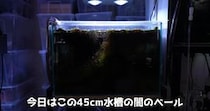 【画像】まさかの中身