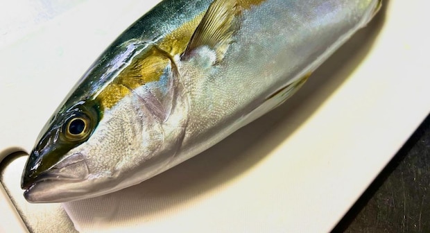 まな板からはみ出す大きな魚→栄養士の女性がさばいたら…… 目を疑う仕上がりに「プロの板前やん」「間違いなくおいしいやつ」