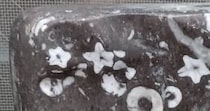 【画像】石の全体写真を見る