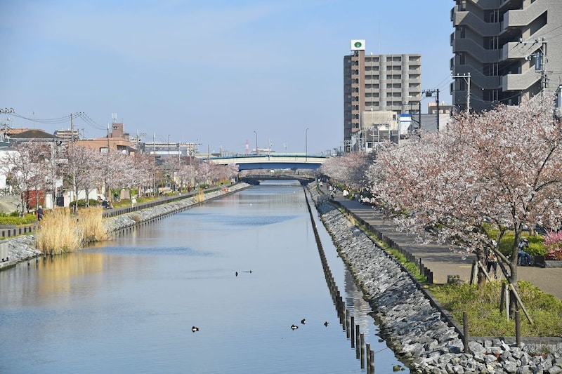 「都内っぽくなくて良い」東京都の“住みやすい街”上位の区に「雰囲気があたたかく街並みも◎」「家賃相場が比較的安め」「アクセスも悪くない」の声【7月17日は「東京の日」!】