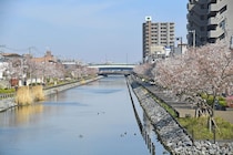 「都内っぽくなくて良い」東京都の“住みやすい街”上位の区に「雰囲気があたたかく街並みも◎」「家賃相場が比較的安め」「アクセスも悪くない」の声【7月17日は「東京の日」！】