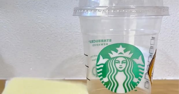 スタバのカップでバジルを栽培→70日後…… 驚きの成長が310万再生