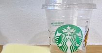スタバのカップでバジルを栽培→70日後……　驚きの成長が310万再生