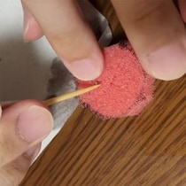 【動画】水耕栽培の様子