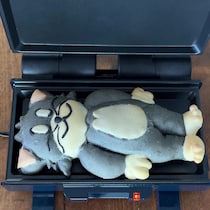 すやすや眠るトムのパン→ふたを閉めると……　分かる人には分かる姿に「声出して笑った」「すごすぎーーー！」
