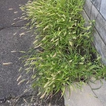 【画像】驚きの光景