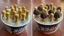 チョコアイスに「きのこの山」のクラッカーを植えるとチョコが生えてくる？　ジョージア駐日大使のネタレシピに「その発想はなかったｗ」