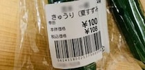 【画像】まさかの断面