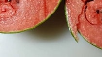 【画像】スイカの中身（全体を見る）