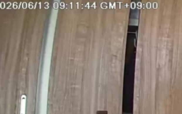 飼い主「ペットカメラで撮れた奇跡の一枚」→犬2匹の“まさかの姿”に「これは反則」「ぬいぐるみなの？」