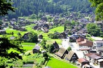 「もったいなくて食べれない…」　岐阜県の“入手困難な銘菓”に「食べる現代アートのよう」「今日は眺めるだけにしよ」「こんなお菓子があるなんて！」の声