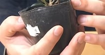 【画像】驚きの正体