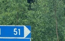 【画像】看板を見る