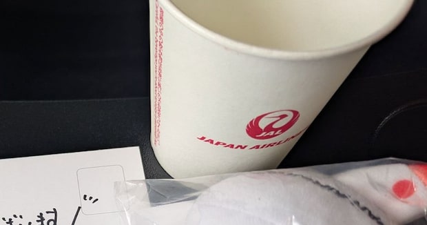 誕生日、JALの飛行機に搭乗→CAが席で用意していたのは……「そんな事してくださるんですね」まさかのプレゼントに「すてきな1年になる」