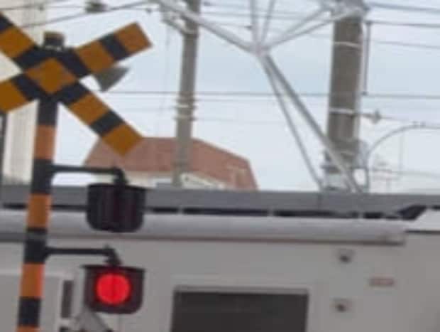 「踏切待ちしてたら変な電車が来てクソワロタ」→現れたのは…… 目を疑う“レア車両”に「なんだろう??」「SF感あって面白い」