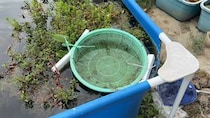【動画】驚きの光景