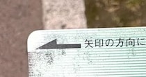 【実際の投稿】「絶滅危惧種」とつづったキャッシュカード