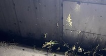 【画像】とんでもない光景