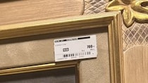 【画像】まさかの正体