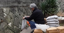 すぐ草ボーボーになる実家の庭→“カインズの砂”を試して7カ月後……　納得の光景に「大変参考になりました」
