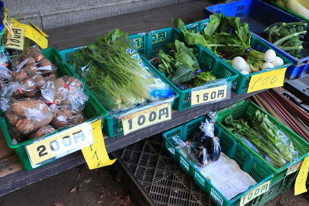 野菜販売所でお釣り50円を断ると「それじゃ多かっぺよ！」→持たされた“お土産”に「50円分どころじゃない笑」