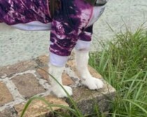 【画像】全体を見る