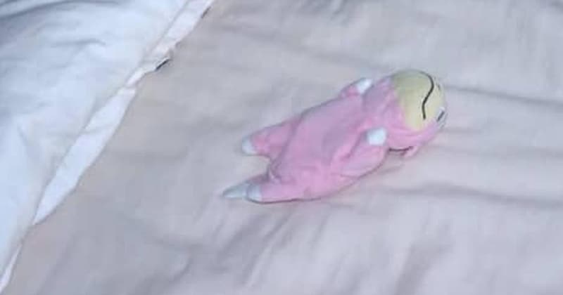 孫が実家に忘れたポケモンのぬいぐるみ→おじいちゃんが孫のために…… 「本当に優しくて素敵」まさかの光景に「羨ましくなっちゃった」