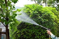「ほとんどの虫が死んでいる」　虫コロリアースの“庭用害中駆除剤”に絶賛の声　「一番効くと思う」「簡単にまける」「色がグレーで目立たないのも良い」