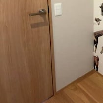 自宅の壁に“国立科学博物館コラボ壁紙”を選んだら……大大大迫力の光景に「素敵すぎる！！！！」