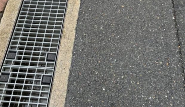 道路を歩いていたら、立ちふさがって来たのは……　“まさかの光景”に「これはとおれないww」「なぜ道路に？」