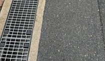 道路を歩いていたら、立ちふさがって来たのは……　“まさかの光景”に「これはとおれないww」「なぜ道路に？」