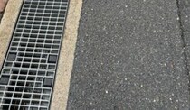 【画像】道路で立ちふさがった生き物