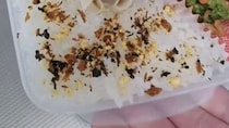 「全国のママには勝てない」と、2児シンパパが作った弁当→「あたしより立派」　“驚きの完成品”に「本当に尊敬」「卑下しないで」