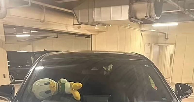 ディズニーの駐車場に戻ったら「駐禁か、、??」→よく見ると…… 驚きの光景が240万再生「ホント粋なことするよなー!」「夢の国さすが」