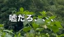 【画像】最悪の光景