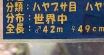 【画像】とんでもない誤表記