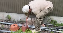 “怪しい塊”をゲット→うっかり庭に放置したら……　予想外の光景に「おかしくない？」「パリッパリだが？」