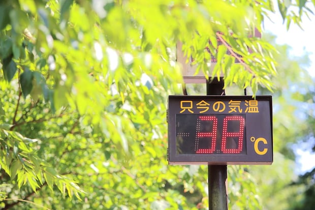 「めちゃくちゃ冷たいしすぐ暑さが和らぐ」　“首を冷やすアイスノン”は夏の必需品！　「1時間は冷たいまま」「通勤中にはスカーフ巻いて使ってる」
