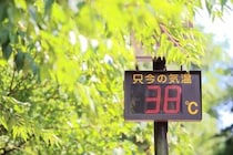 【画像】アイスノン　首もとひんやり氷結ベルト